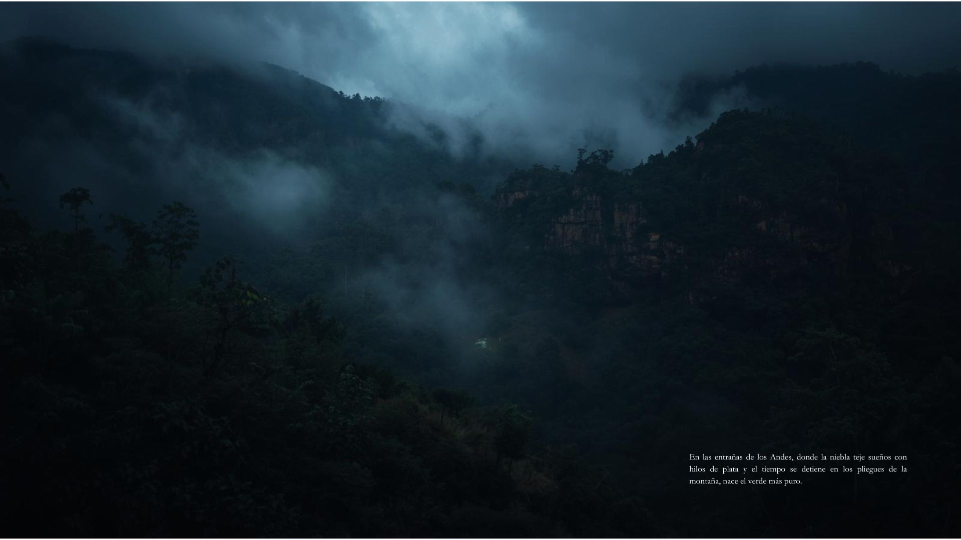 Mist weaving silver threads through the mountain forest.